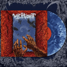 LP / Witch Vomit / Poisoned Blood / Cloudy Royal Blue / Vinyl