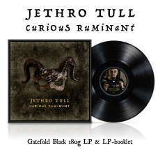 LP / Jethro Tull / Curious Ruminant / Vinyl