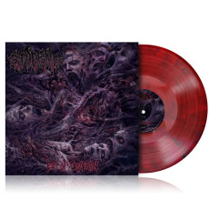 LP / Stabbing / Eon Of Obscenity / Vinyl