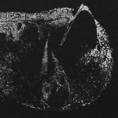 LP / Demon Head / Viscera / Vinyl / limited