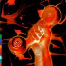 2CD / Gabriel Peter / Secret World Live / 2CD