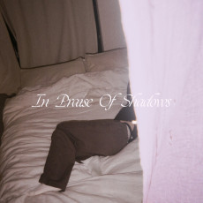 2LP / Puma Blue / In Praise of Shadows / Vinyl / 2LP / Coloured
