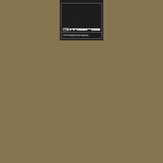 2LP / Mono / Life In Mono / Gold / Vinyl / 2LP