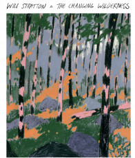CD / Stratton Will / Changing Wilderness