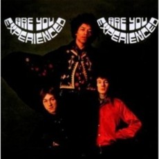 2LP / Hendrix Jimi / Are You Experienced / Vinyl / 2LP