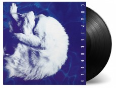 LP / Chapterhouse / Whirlpool / Vinyl