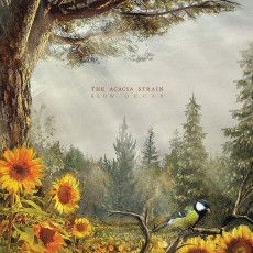 LP / Acacia Strain / Slow Decay / Vinyl