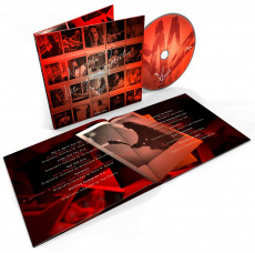 CD / Cornell Chris / No One Sings Like You / Digisleeve