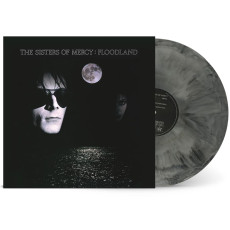 LP / Sisters Of Mercy / Floodland / Black Ice Galaxy / Vinyl