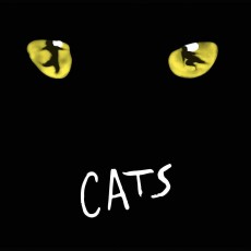 2LP / Webber Andrew Lloyd / Cats / 1998 Musical / Vinyl / 2LP