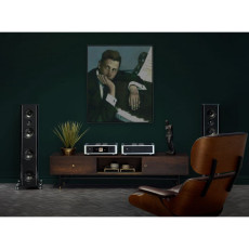 HIFI / HIFI / P�edzesilova� / All In One syst�m / NAD M66