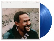 LP / Gaye Marvin / Dream Of a Lifetime / Vinyl / Coloured