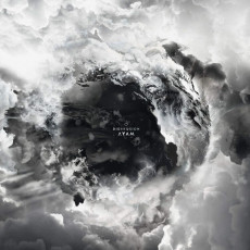 LP / Disillusion / Ayam / White / Vinyl