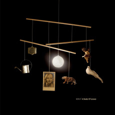 CD / Beirut / Study of Losses