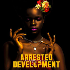 2LP / Arrested Development / Don't Fight Your Demons / Vinyl / 2LP