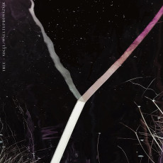 CD / Tree / Y / Digipack