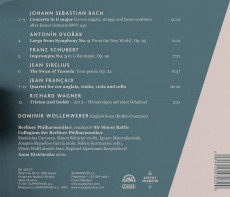 CD / Wollenweber Dominik / Art of English Horn