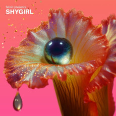 2LP / Various / Fabric Presents Shygirl / Vinyl / 2LP