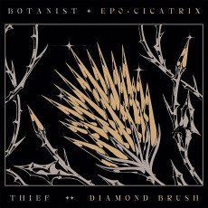 CD / Botanist/Thief / Cicatrix / Diamond Brush / Split / Digipack