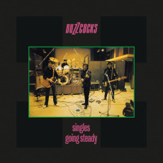 LP / Buzzcocks / Singles Going Steady / Vinyl