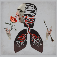 CD / Hot Water Music / Vows / Digisleeve