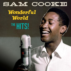 LP / Cooke Sam / Wonderful World-the Hits / Coloured / Vinyl