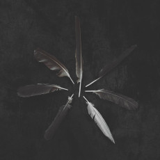 LP / Caspian / Dust And Disquiet / Emerald Green White / Vinyl
