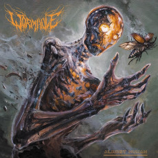 LP / Wormhole / Almost Human / Vinyl