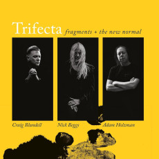 2CD / Trifecta / Fragments+The New Normal / 2CD