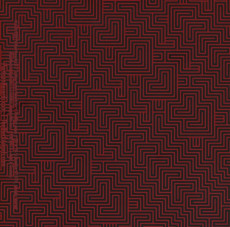 CD / Black Angels / Wilderness Of Mirrors