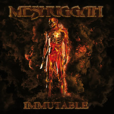 2LP / Meshuggah / Immutable / Transparent / Vinyl / 2LP