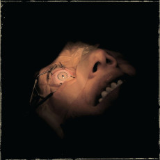 LP / Exhumed / Anatomy Is Destiny / Coloured / Vinyl