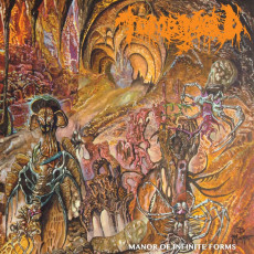 LP / Tomb Mold / Manor of Infinite Forms / Vinyl