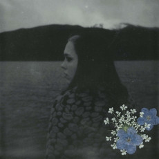 LP / Soccer Mommy / Evergreen / Vinyl