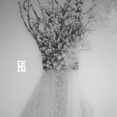CD/DVD / Negura Bunget / Zau / Artbook / CD+DVD