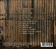 CD / Shires / 10 Year Plan