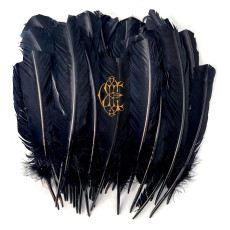 CD / Edwards David Eugene / Hyacinth