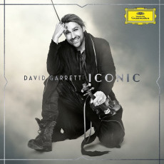LP / Garrett David / Iconic / Vinyl / 2LP