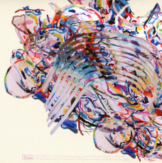 CD / Animal Collective / Painting With / Digisleeve