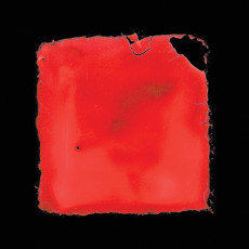 CD / Slavia Palth / Last Chance To See