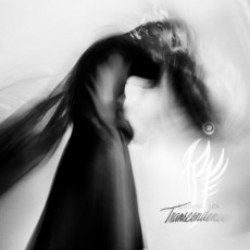 CD / Indigo Raven / Looking For Transcendence