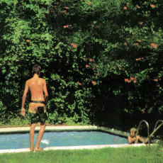 LP / Toledo / How It Ends / Vinyl