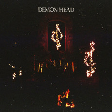 LP / Demon Head / Through Holes Shine The Stars / Violet / Vinyl