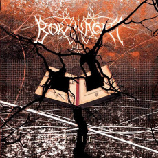 CD / Borknagar / Epic