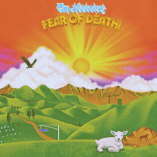 LP / Heidicker Tim / Fear Of Death / Vinyl