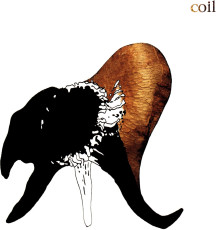 CD / Coil / Black Antlers