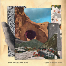 LP / MATTHEWS DAVE BAND / Walk Around the Moon / Vinyl.