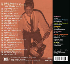 CD / Watson Johnny Guitar / Rocks