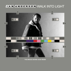 LP / Anderson Ian / Walk Into Light / Vinyl