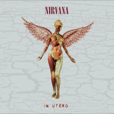 5CD / Nirvana / In Utero / Deluxe Box / 5CD